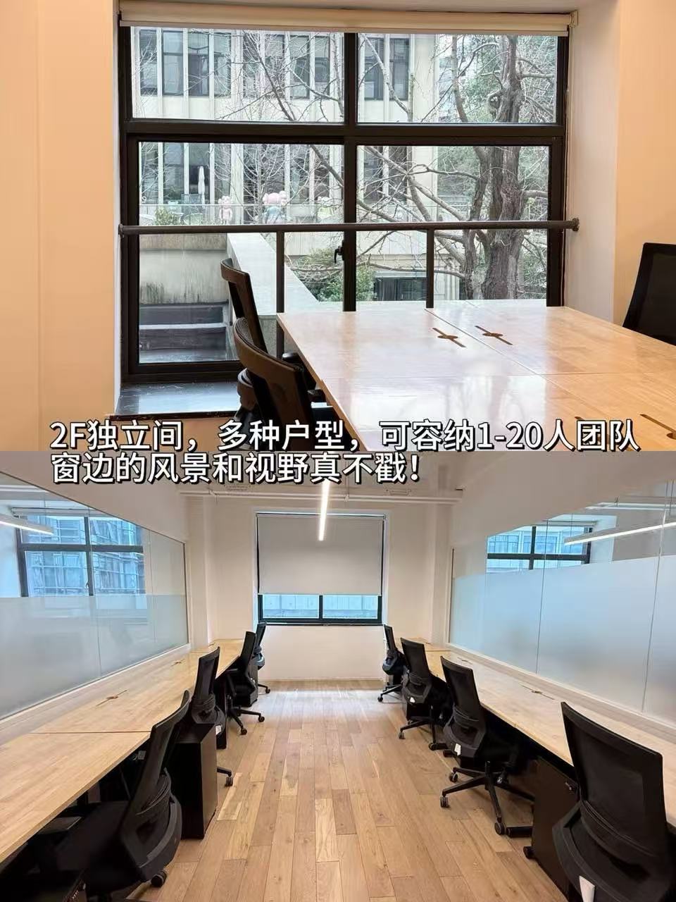 独立办公位与隔间区